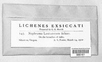 Image Associated With the Occurence